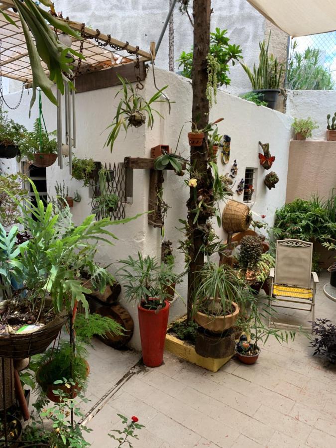 Casa La Minerva Leilighet Guadalajara Eksteriør bilde