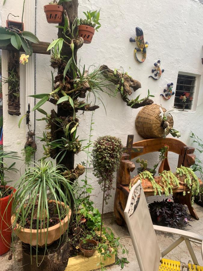 Casa La Minerva Leilighet Guadalajara Eksteriør bilde